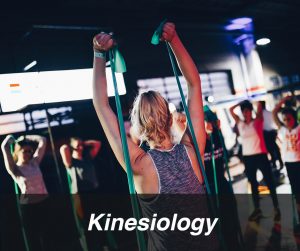 Kinesiology - Group stretching